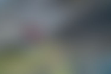 The CinEmma: Free Solo