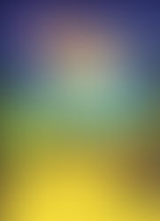 BHS to Present The Wizard of Oz