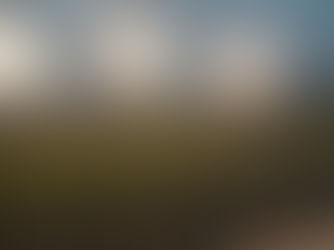 Boys track wins Ira Dunsworth Relays