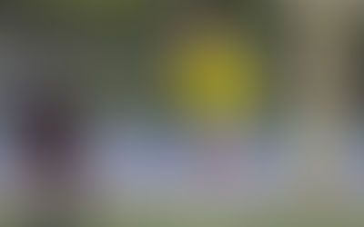 Poole’s shutout sends boys soccer to state tournament