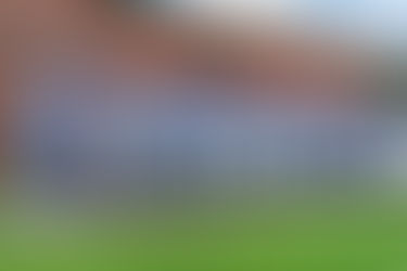 Disney performance shines spotlight on mascot controversy