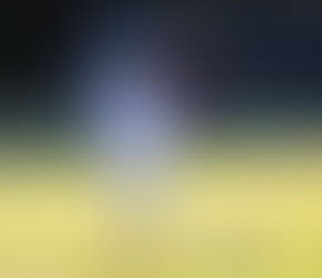 Foreign Exchange Student Spotlights