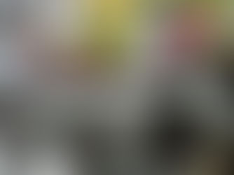 BHS remembers Veteran's Day