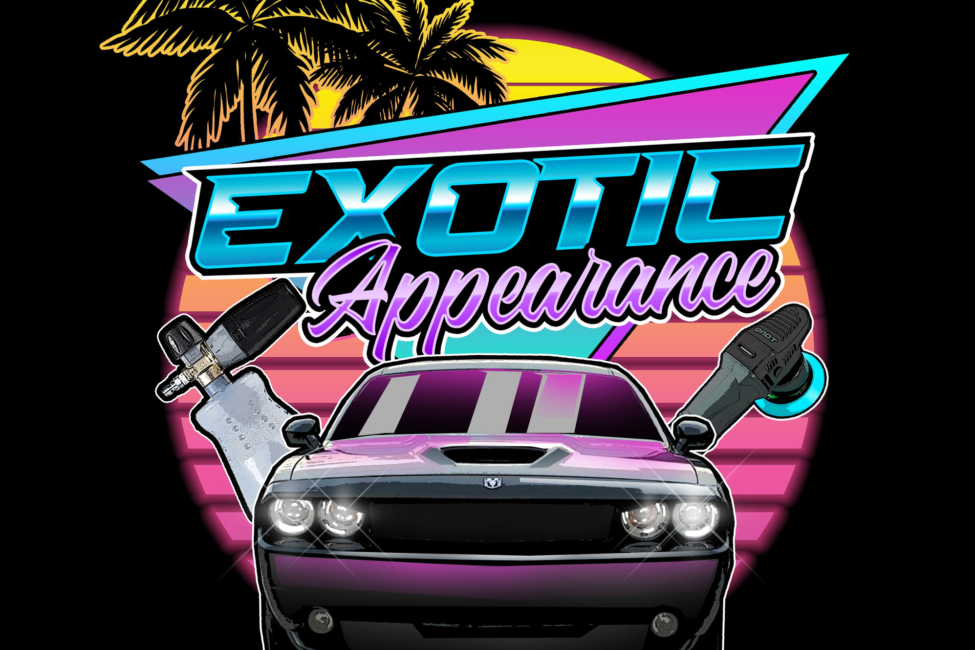 Exotic Appearance Mobile Auto Detail Oakdale Oakdale, CA, USA