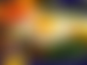 Truffle Korean Rice Bowl (Bibimbap)