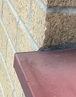 EVB23309E restoration coating,Restoration coating for powder coated windows, Restore fadded and chalky aluminium windows permanently, 5 years guaranteed, Protection from UV damage, Protection in marine enviroment, protection from bird droppings, protection from salt air and acid, EVB23309E