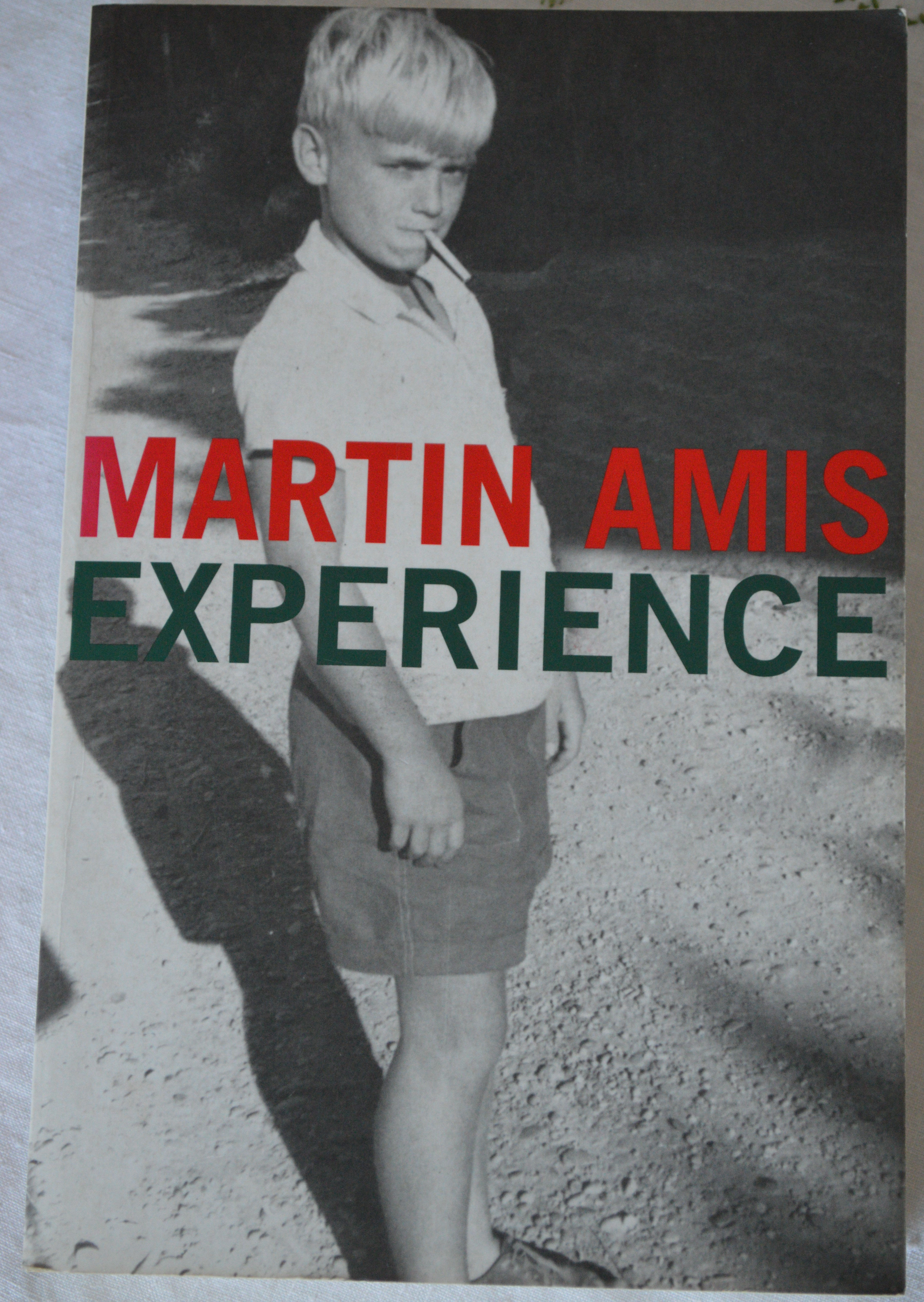 Amis, Martin    EXPERIENCE