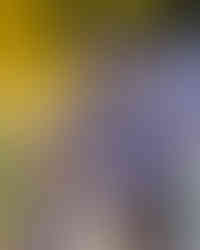 PHOTO GALLERY: JAY B | TAPE : RE LOAD, Los Angeles