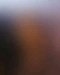 Photo Gallery Mikayla Geier Diva Tour in New York - Photo Crystal Li