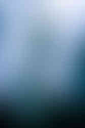 Kevin Woo Photo Gallery, Los Angeles