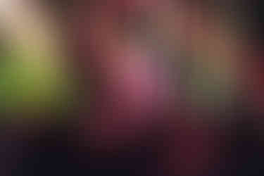 GSoul Pretty Lil Thing Gallery