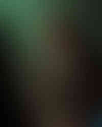 Kevin Woo Photo Gallery, Los Angeles