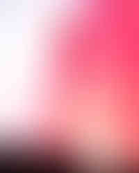 Hwasa Twits Tour in Los Angeles Photo Gallery