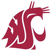 Washington State logo.jpg