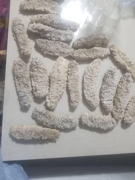sea_cucumber_2.jpeg