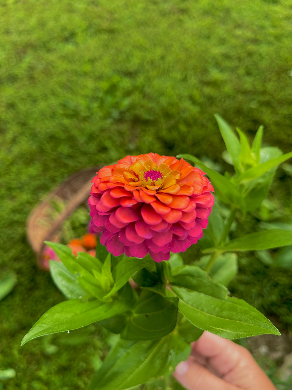 IMG_8344.jpeg