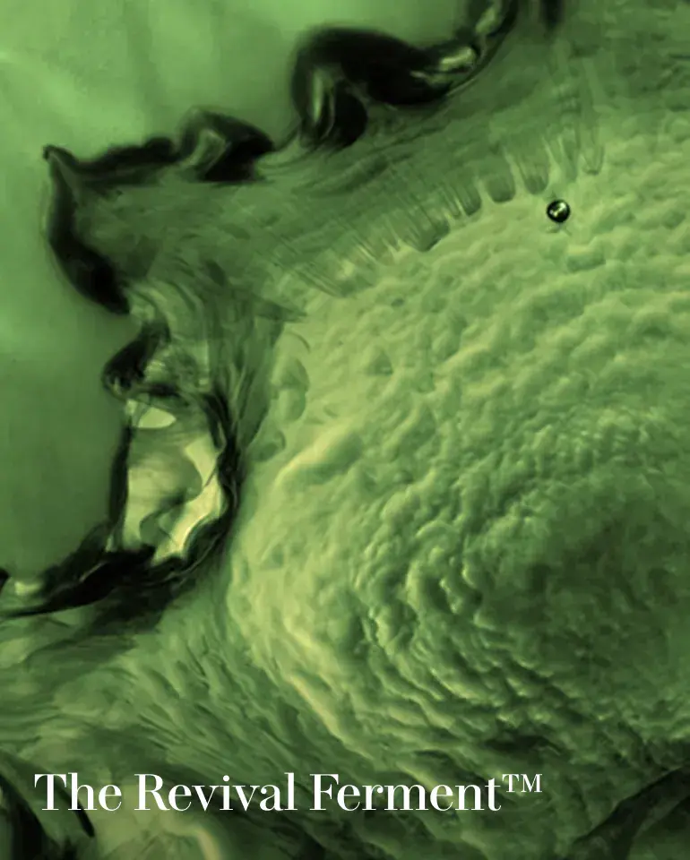 Thumbnail: La Mer Advanced Treatment Lotion