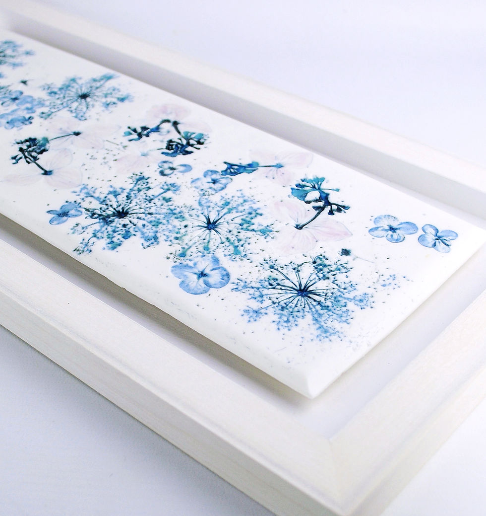 Thumbnail: Hydrangea Brocade