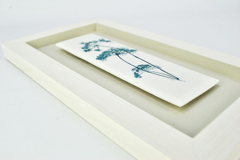 Thumbnail: Cow Parsley
