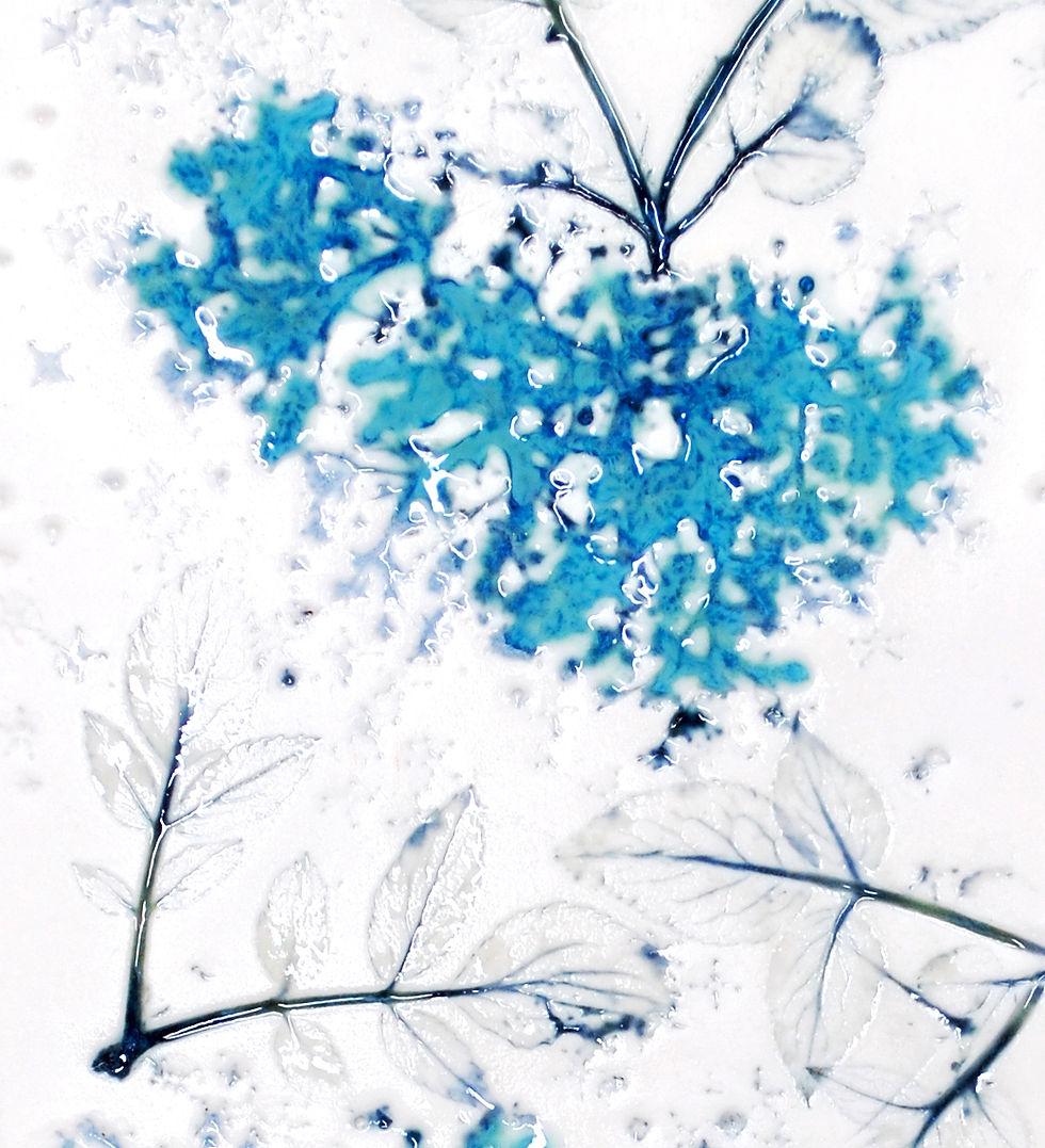 Thumbnail: Elderflower