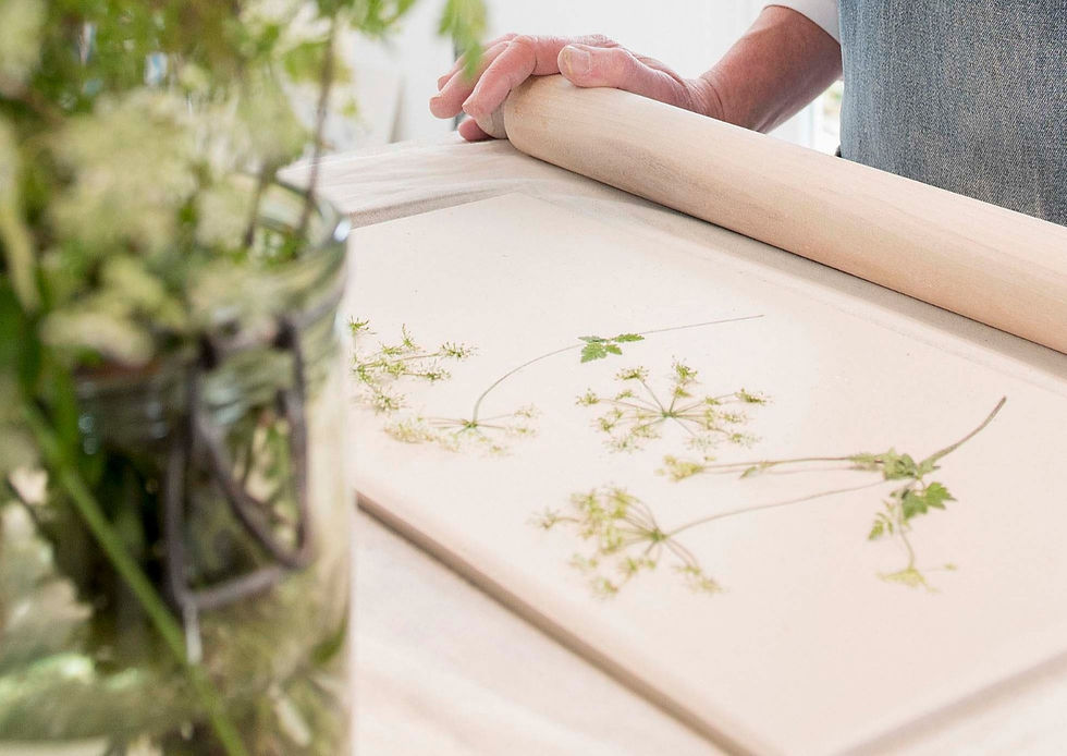 Thumbnail: Cow Parsley