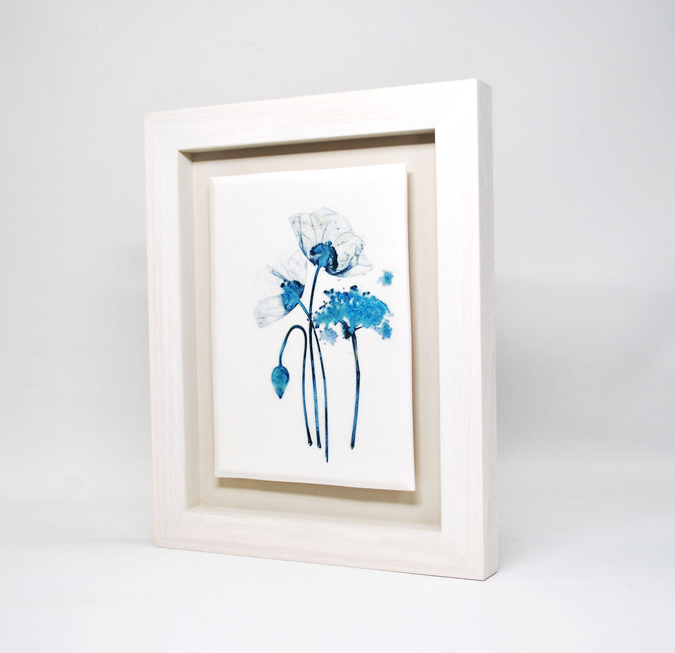 Thumbnail: Poppies with Cow Parsley