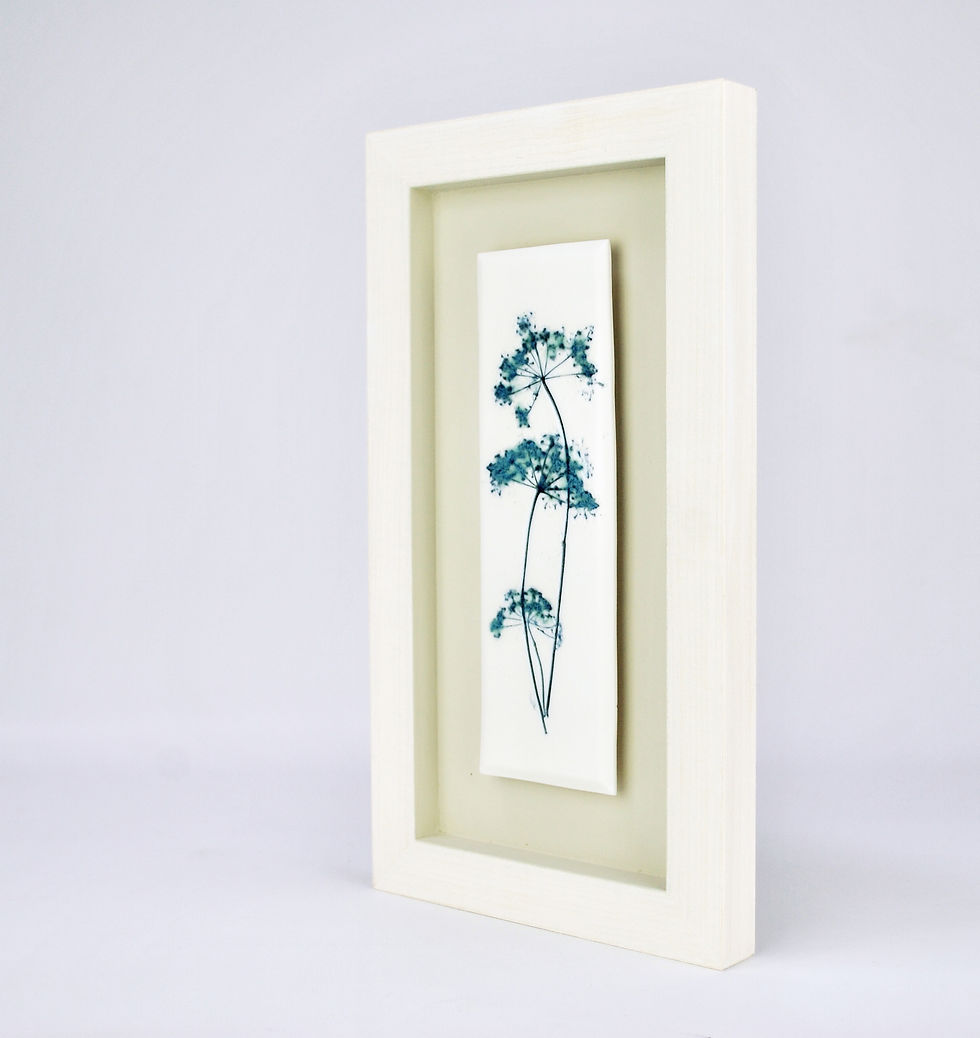 Thumbnail: Cow Parsley