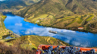 Vinho e Viagem: uma prévia da Região Douro Vinhateiro, em Portugal.