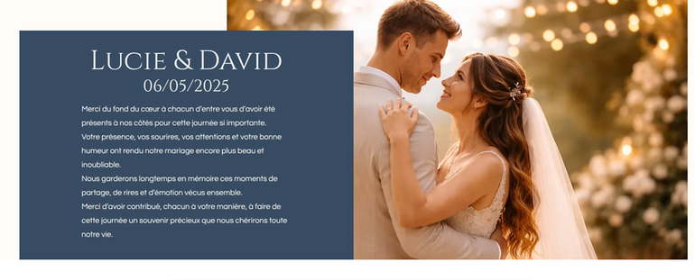 vidy galerie souvenir