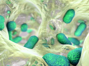 Por que os microrganismos formam biofilmes? Parte 2