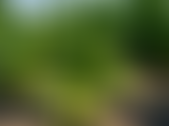 Martinus Beijerick. O idealizador de um novo conceito de agente infeccioso.