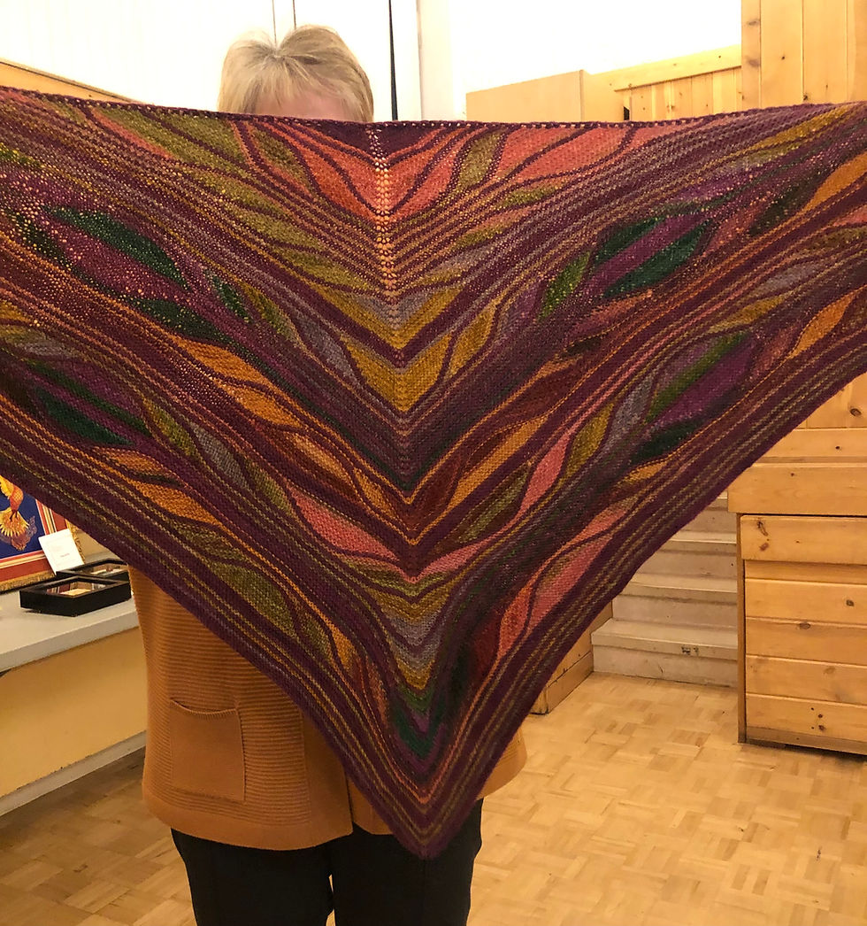 2024.02.14 - Suzanne - Shawl (held up)