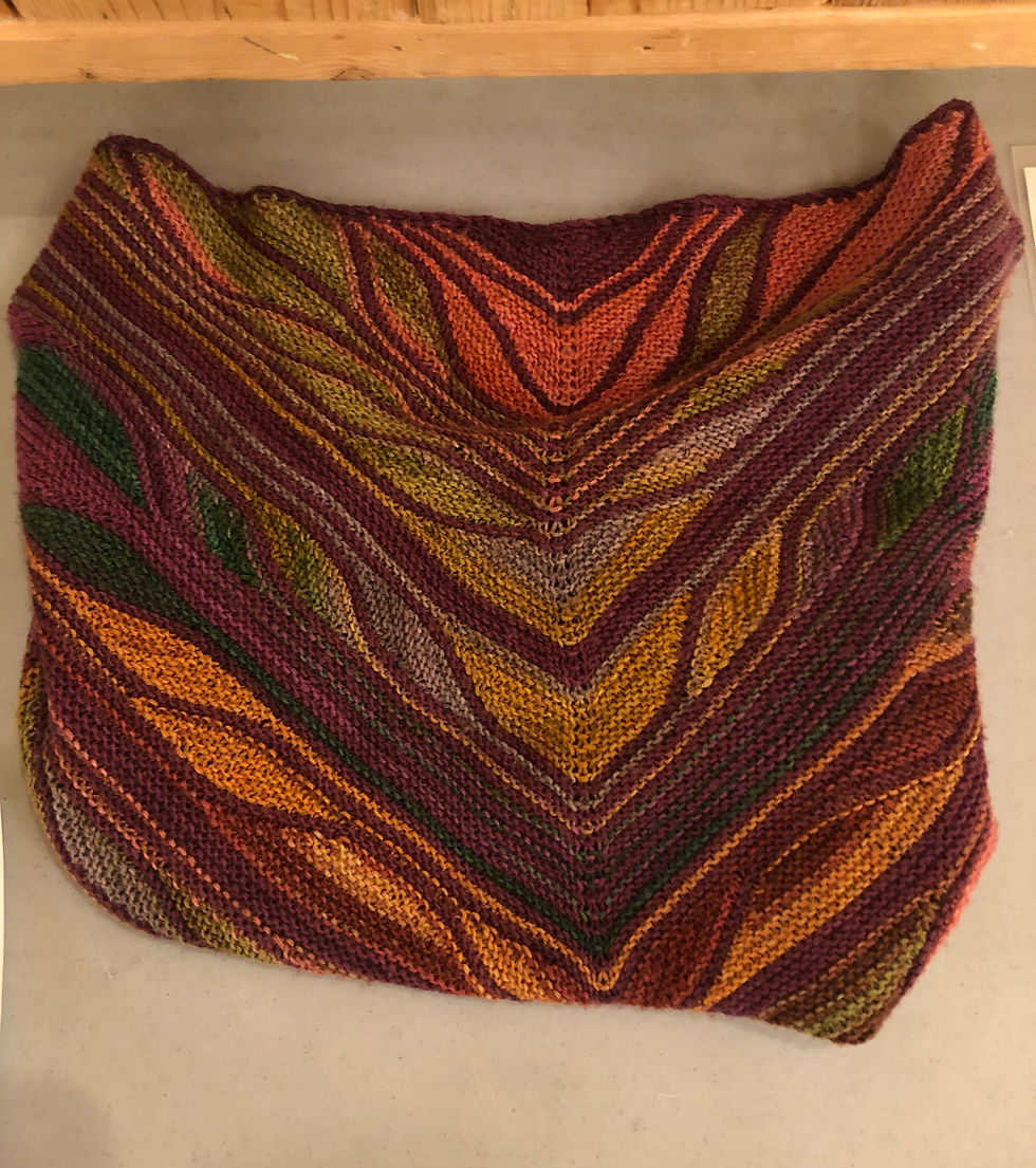 2024.02.14 - Suzzanne - Shawl