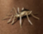 Thumbnail: Large Spider Pin by Effie Spencer