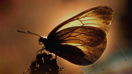 Transformation starts with this...