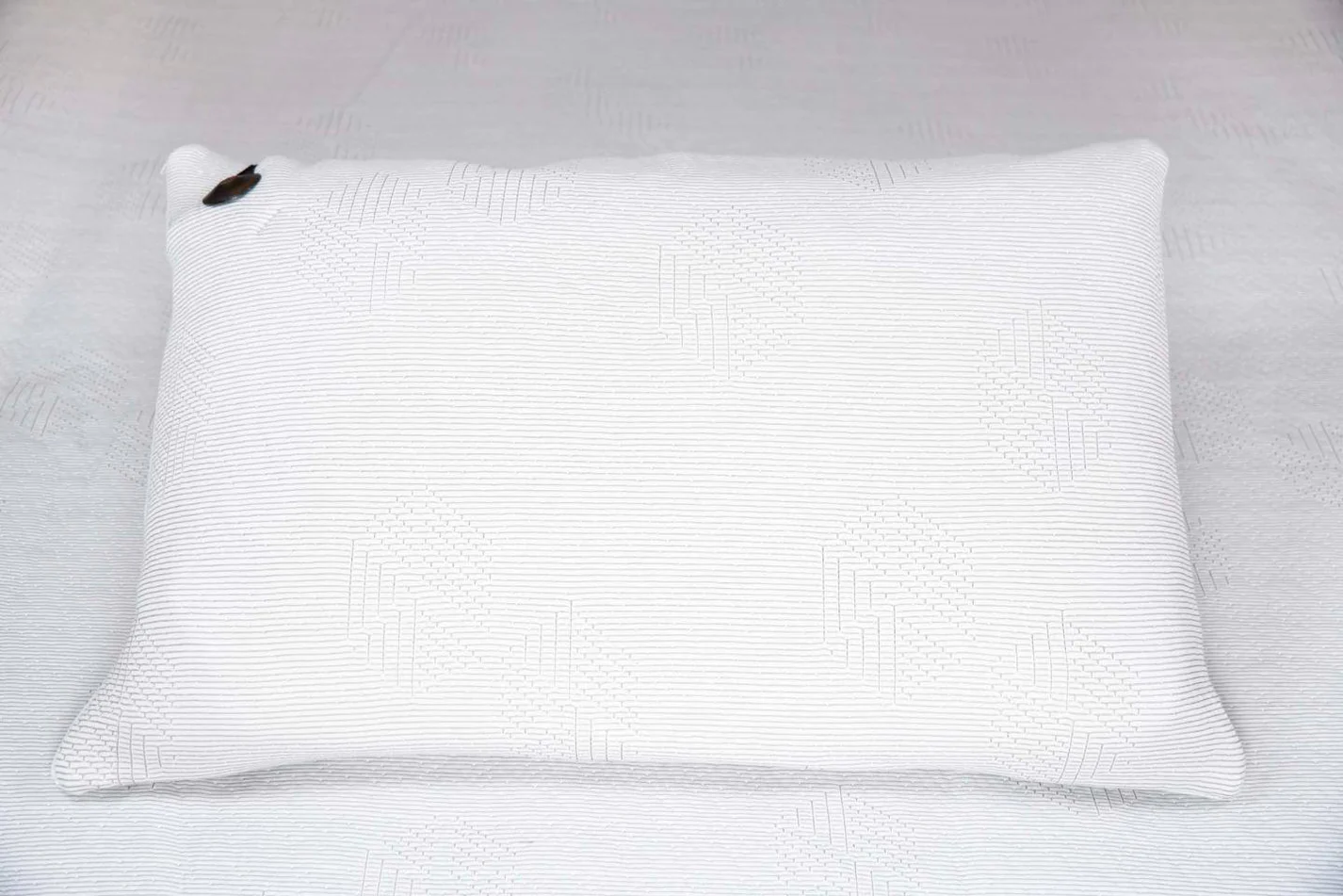 pillow case.webp