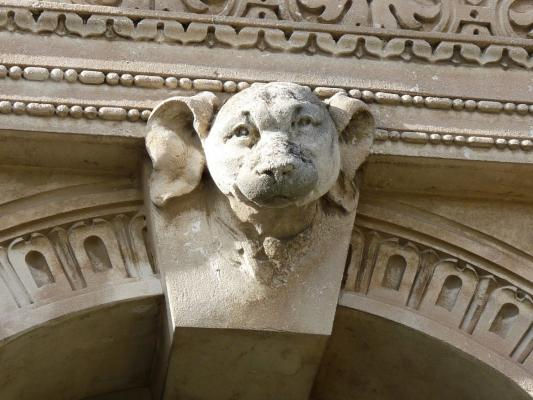 "Pan Perdu" sur le site "Les chiens et leurs humains"
