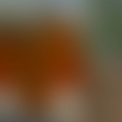 L'automne sur la vitre