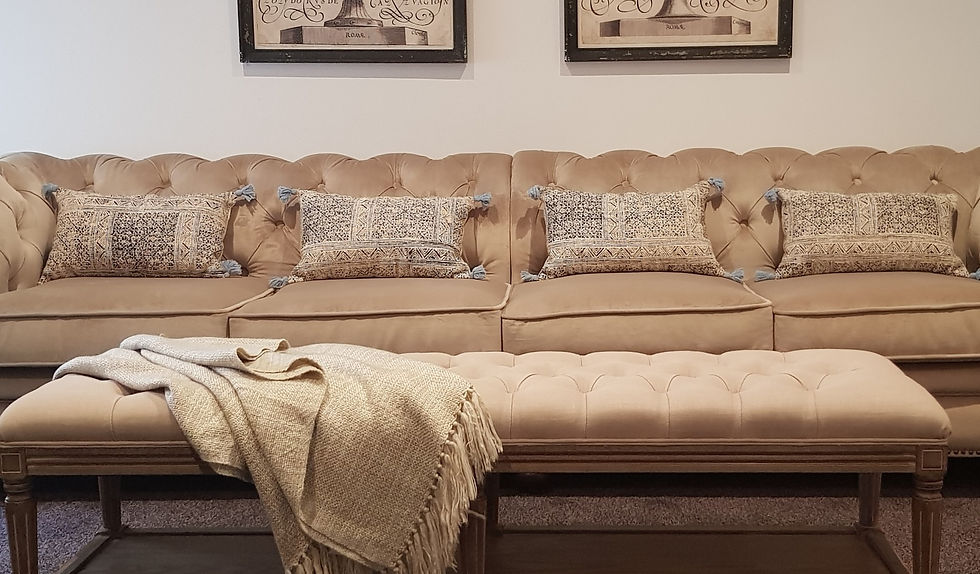 Eye-level view of a luxurious velvet sofa with patterned cushions