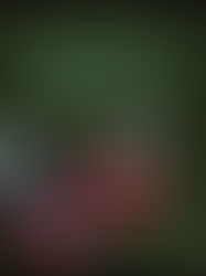 You had the power all along, my dear