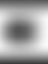 WIDP: The Key to Maximizing Individual and Group Success