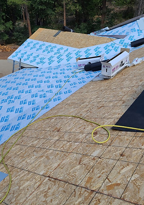 new roof.jpeg