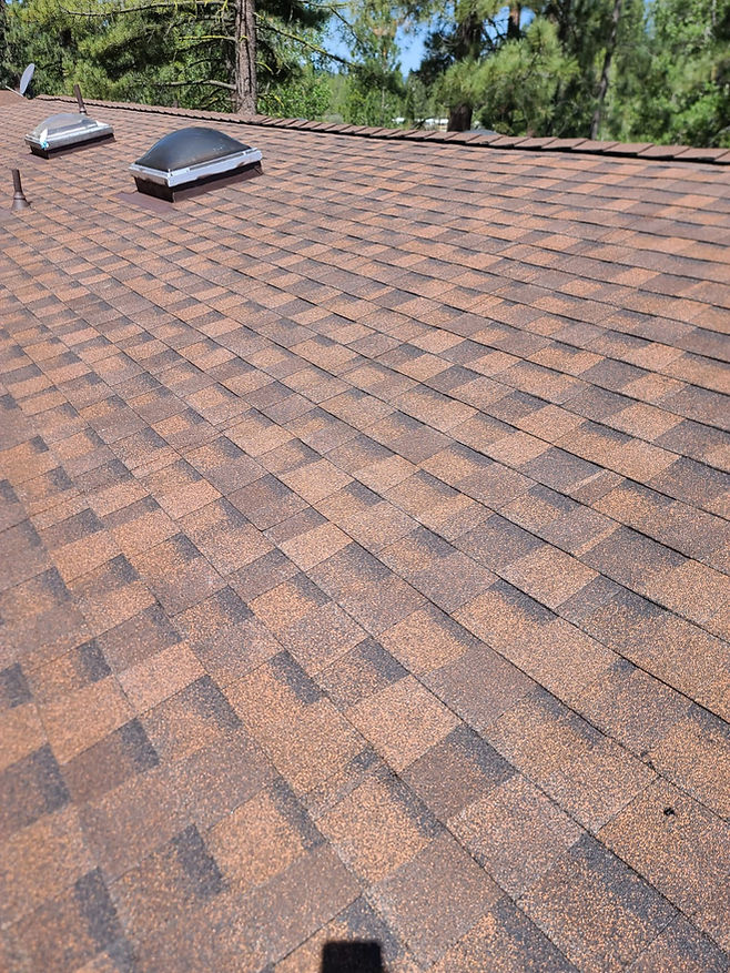 Secondary banner.jpeg