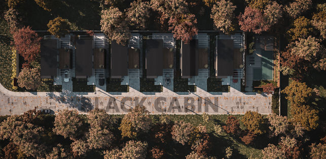 Aerial architectural rendering showing site layout and forest integration. By Black Cabin.