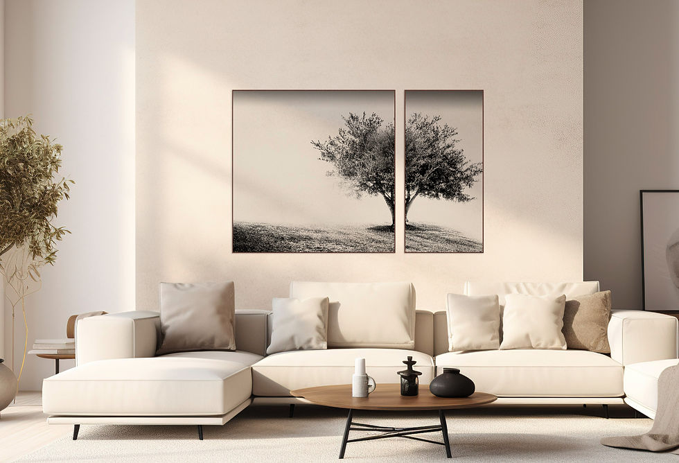 ambiente decorado com quadros fine art