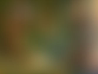 Did King Solomon really order a baby cut in two? Literally? Why?