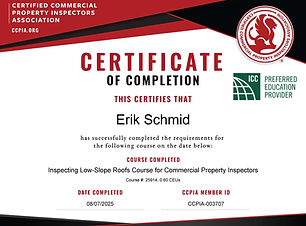 Low Slope Roofs Course.jpg