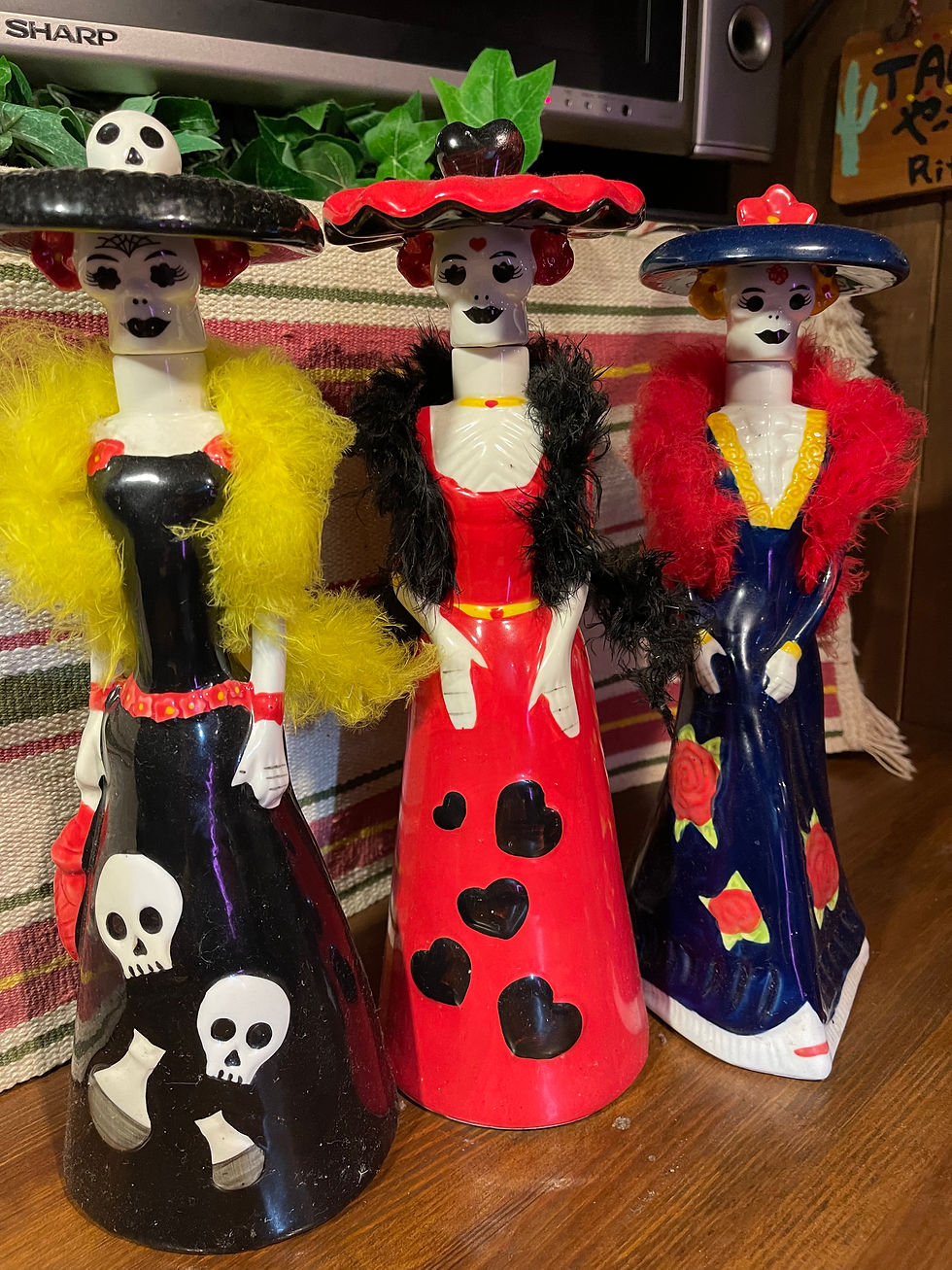 【奈良で昼飲み&夜飲み】曇り空の日は、テキーラでちょっぴり陽気に。ランチも“大人の2軒目”もPUBLIC HOUSE Ritzへ