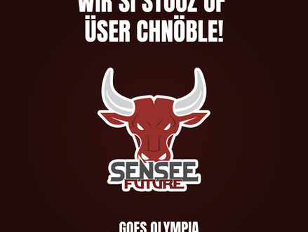 Wir si stouz uf üser chnöble!