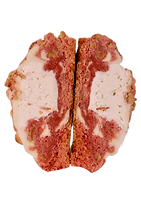 Untitled design 4.PNG